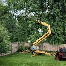 Lawn Irrigation Installation and Maintenance in Wrens, GA