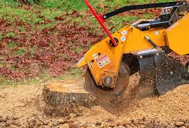 Pest Control for Lawns in Wrens, GA